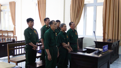 Tòa miễn án phí hình sự cho 6 bị cáo cựu chiến binh kêu oan trong vụ hủy hoại rừng