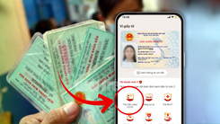 Tôi cần xem lại số CMND cũ để làm thủ tục thì xem ở đâu?