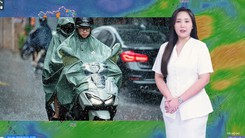 Thời tiết đêm 28 ngày 29-8: Bắc Bộ và Nam Bộ có mưa rào và dông; Trung Bộ ngày nắng nóng, chiều tối mưa dông