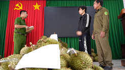 Từ Hải Phòng vào Đắk Lắk làm thuê rồi trộm hơn 1,6 tấn sầu riêng