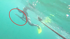 Xác minh clip một người lặn biển dùng dụng cụ tự chế bắn cá ở Nha Trang