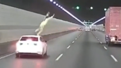 Video người phụ nữ nhảy từ nóc ô tô xuống đường, suýt gây tai nạn cho xe đi sau ở Trung Quốc