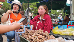 Cận cảnh khu chợ chỉ một món hàng mà lúc nào cũng nhộn nhịp người mua người bán