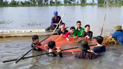 Trữ cá đồng, đón khách du lịch giữa mùa nước nổi ở miền Tây