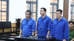 Cướp hơn 54 tấn cá tra nguyên liệu để cấn trừ nợ, nhóm bị cáo lãnh án tù