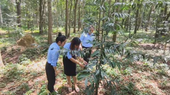 Góc nhìn trưa nay: Khám phá ‘bảo tàng sống’ 40ha giữa lòng TP.HCM, nơi lưu giữ hàng chục loài cây trong Sách đỏ