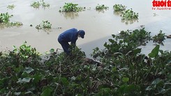 Phát hiện thi thể trôi trên sông Sài Gòn