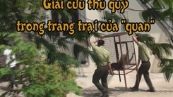 Giải cứu thú quý trong trang trại của “quan”