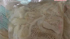 Ngư dân Thạch Trị được mùa sứa biển