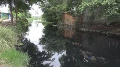 Ô nhiễm nước nghiêm trọng tại huyện Bình Chánh, Hóc Môn