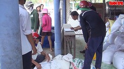 Phát gạo nhầm cho học sinh vì Hiệu trưởng không nắm được qui định mới