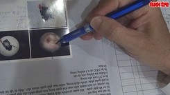 TP.HCM: Bị côn trùng chui vào miệng, bé trai suýt tử vong