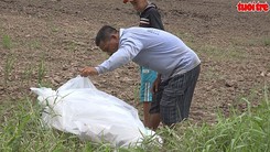 Xác chết bé gái 3 tuổi trôi trên sông Tiền