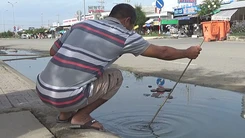 Ô nhiễm nước thải tại khu du lịch Quán Âm Phật Đài