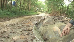 Mỏ vàng Bồng Miêu xả thải ra sông, chính quyền bất lực?