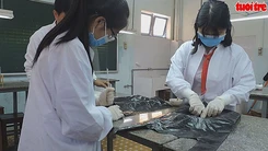 Học sinh cấp 2 với sáng kiến xử lý rác thải nhựa bằng các loài sâu