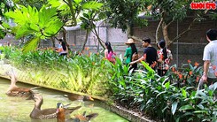 Độc đáo Vườn chim Miền Tây