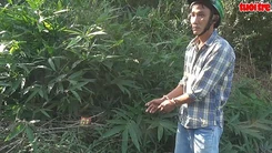 Bắt giữ đối tượng cạy cốp xe lấy trộm tài sản của khách hành hương