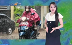 Thời tiết đêm 2 ngày 3-8: Bắc Bộ có nơi mưa to, Trung Bộ và Nam Bộ mưa dông về chiều