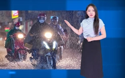 Thời tiết đêm 3 ngày 4-8: Bắc Bộ mưa to, Trung Bộ và Nam Bộ ngày nắng, chiều tối mưa dông