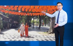 Thời tiết đêm 1 ngày 2-9: Bắc Bộ nắng nóng, Trung Bộ và Nam Bộ mưa rào và dông 