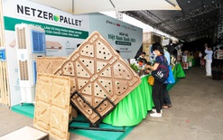 Doanh nghiệp nhỏ thắng lớn nhờ tiên phong xanh