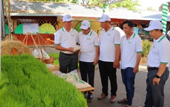 Lan tỏa thông điệp xanh tại Ngày hội Sống xanh, đồng hành cùng kinh tế xanh