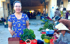 Nói không với túi ni lông, từ nhận thức đến hành động