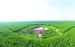 Tổng giám đốc VRG Lê Thanh Hưng: Chuyển đổi xanh là 'chìa khóa' vươn tầm thế giới
