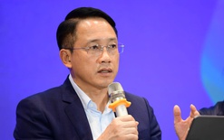 Giai đoạn đầu áp dụng thuế kê khai không đặt nặng việc kiểm tra, xử phạt