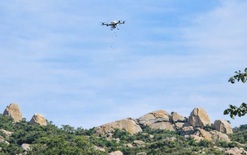 Gieo mầm xanh giữa rừng sa mạc bằng máy bay không người lái