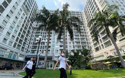 Sau khi bỏ khoán thuế, người có căn hộ cho thuê nộp thuế thế nào?