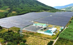 Khánh Hòa muốn trở thành trung tâm năng lượng tái tạo và công nghiệp xanh