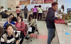 Thuế đồng loạt yêu cầu hộ kinh doanh có doanh thu dưới 500 triệu ngừng sử dụng hóa đơn