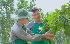 Nông nghiệp Việt Nam vươn toàn cầu: Đừng chờ lớn mới đầu tư, hãy đầu tư để trở nên lớn