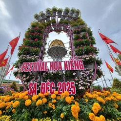 Cận cảnh không khí Festival hoa kiểng Sa Đéc lần thứ II trong ngày khai mạc