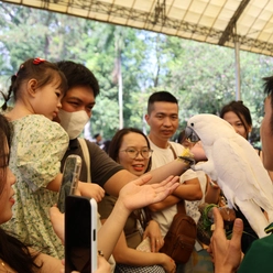 Trải nghiệm thú vị cuối tuần dành cho du khách tại Thảo cầm viên Sài Gòn