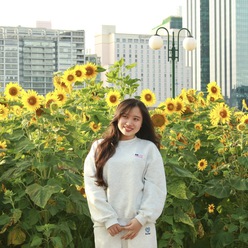 Vườn hoa hướng dương rực vàng bên bờ sông Sài Gòn, hút khách check in