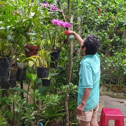 Bài tham dự sân chơi viết Chuyến xe mùa xuân: May mắn làm sao khi Tết vẫn còn nơi để trở về