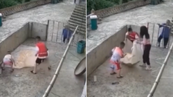 Những em bé ngoan biết giúp đỡ bố mẹ