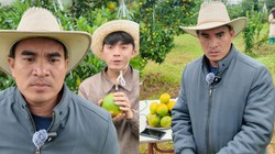 Ông chú bán cam online khóc thét vì toàn gặp 'thượng đế' trời ơi đất hỡi