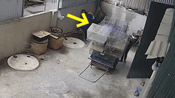 Chồng đứng hình khi vợ ở nhà 'bán hết đàn chim' trong nốt nhạc