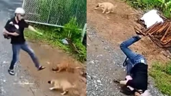 Thanh niên ngã cắm đầu vì trêu chó