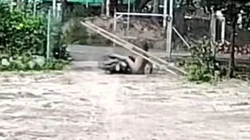 Pha chở hàng không thể cồng kềnh hơn