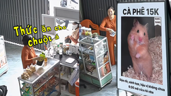 Tiệm cà phê bất ngờ hút khách mua thức ăn cho... chuột