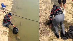Con cá chán chường với cuộc sống, bơi lại gần bờ cho cần thủ bắt