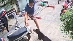 Thanh niên phản xạ cực nhanh khi gặp 'cậu vàng' khó tính