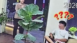 Nhân viên phục vụ quê một cục vì trêu nhầm khách