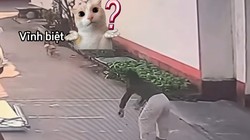 Corgi giận dỗi bỏ đi vì bị cô gái đá bóng trúng mặt
