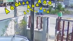 Bò chạy té khói khi thấy... người đẹp